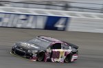 Dale Earnhardt Jun. (Hendrick) 