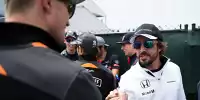 Bild zum Inhalt: Fernando Alonso: Nico Hülkenberg besser als Sebastian Vettel