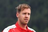 Bild zum Inhalt: Sebastian Vettel: Nach der Bestzeit kommt der "Technikteufel"