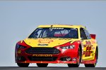 Joey Logano (Penske) 