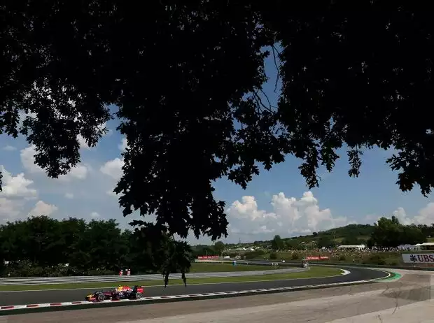 Titel-Bild zur News: Daniel Ricciardo