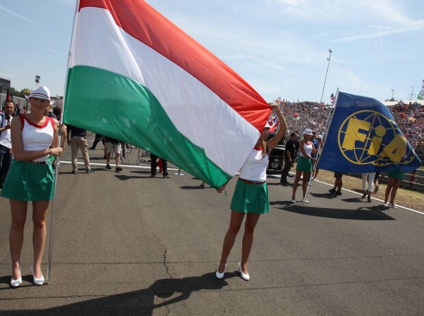 Titel-Bild zur News: Ungarn Flagge Gridgirl