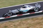 Lewis Hamilton (Mercedes) 