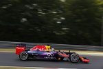 Daniel Ricciardo (Red Bull) 