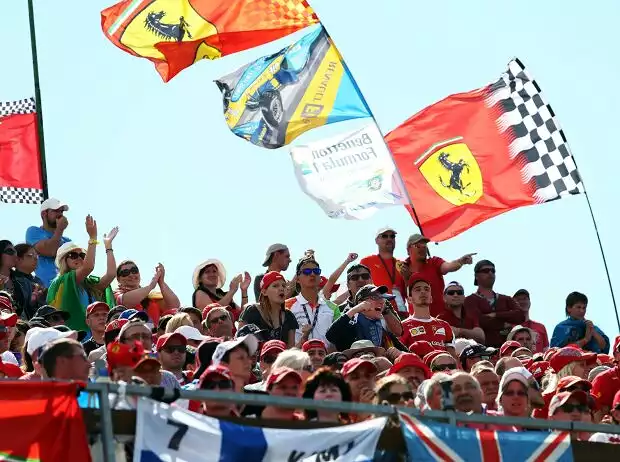 Titel-Bild zur News: Fans in Ungarn