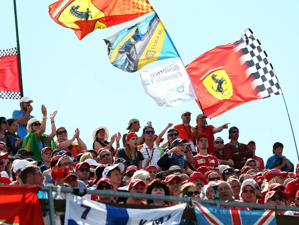Fans in Ungarn