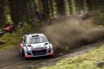 Hayden Paddon (Hyundai)