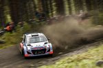 Hayden Paddon (Hyundai)