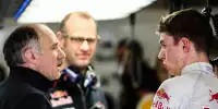 Bild zum Inhalt: Franz Tost: Max Verstappen erinnert an Stefan Bellof