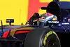 Bild zum Inhalt: Max Verstappen: "Formel 1 ist nicht leichter geworden"