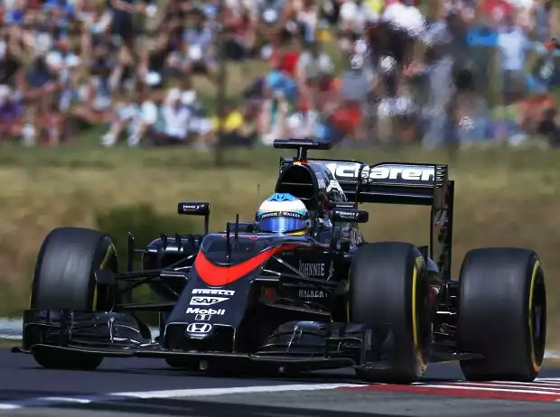 Fernando Alonso Titel-Bild zur News: Fernando Alonso