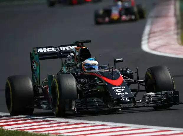 Fernando Alonso Titel-Bild zur News: Fernando Alonso