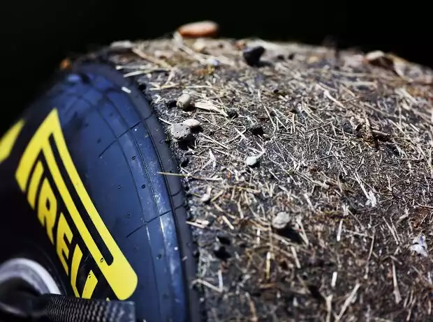 Daniel Ricciardo Titel-Bild zur News: Daniel Ricciardo