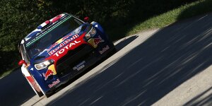 Citroen in Deutschland: Nur der Neuling überzeugt