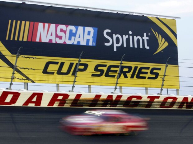 Darlington Stripe Darlington Stripe