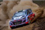 Hayden Paddon (Hyundai)