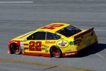 Joey Logano (Penske) 