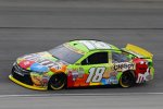 Kyle Busch (Gibbs) 