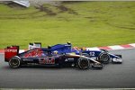 Felipe Nasr (Sauber) und Max Verstappen (Toro Rosso) 