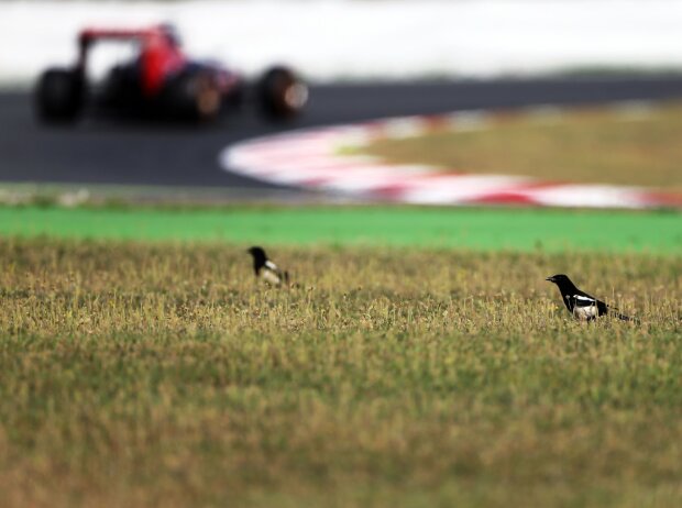 Carlos Sainz Carlos Sainz