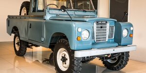 Bob Marleys Defender ist wieder fit