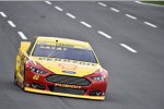 Joey Logano (Penske) 