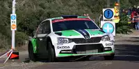 Bild zum Inhalt: Rallye Spanien: Vollgas für den Titel mit drei Skoda-Werksautos