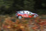 Thierry Neuville (Hyundai)