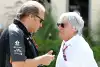 Bild zum Inhalt: Geld wird knapp: Force India bittet Ecclestone um Vorschuss