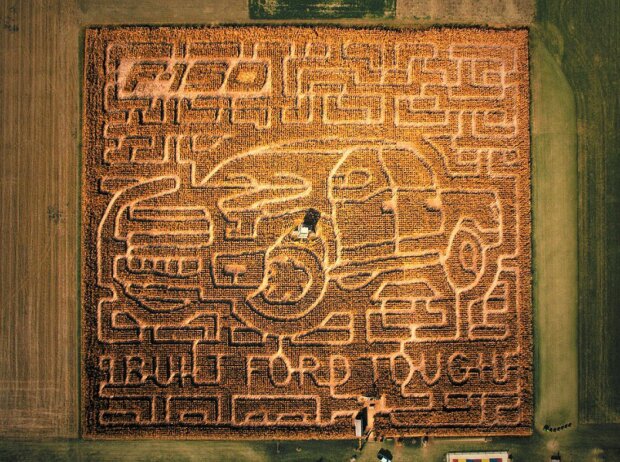 Ford F 150-Mais-Irrgarten 