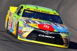 Kyle Busch (Gibbs) 