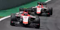 Alexander Rossi, Will Stevens