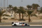 Neel Jani (Porsche) und Marc Lieb (Porsche) 