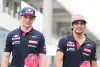 Bild zum Inhalt: Quali-Duelle 2015: Toro-Rosso-Entscheidung in letzter Sekunde