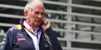 Bild zum Inhalt: Marko: Toro Rosso könnte 2016 im Bullen-Duell schneller sein