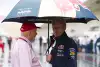 Bild zum Inhalt: Kein Mercedes-Motor für Red Bull: Lauda tut es leid