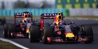 Bild zum Inhalt: Red Bull: Ricciardo und Kwjat kämpfen um ihre Zukunft