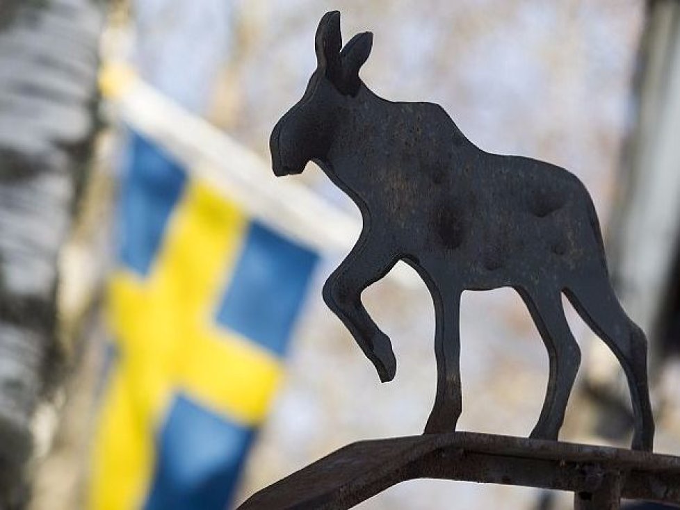 Rallye Schweden