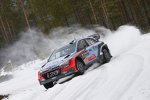 Hayden Paddon (Hyundai) 