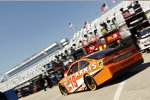 Carl Edwards (Gibbs) 