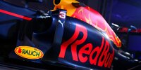 Bild zum Inhalt: Red Bull sendet Friedenssignale in Richtung Renault
