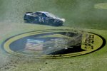 Chase Elliott (Hendrick) 