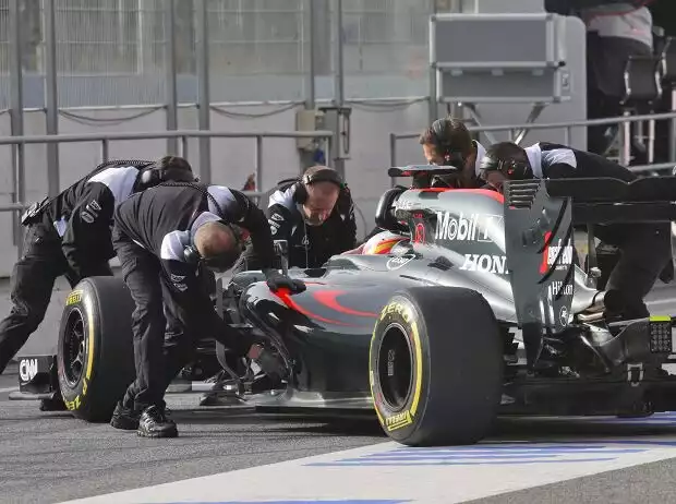 Titel-Bild zur News: Fernando Alonso