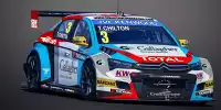 Tom Chilton