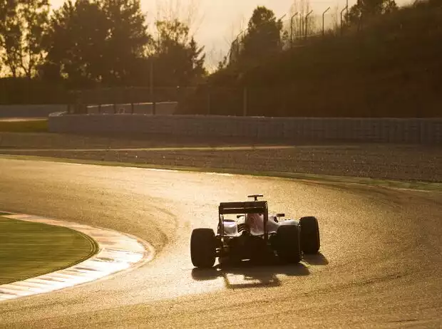 Max Verstappen Titel-Bild zur News: Max Verstappen