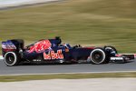 Max Verstappen (Toro Rosso) 