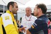 Red Bull: Muss die FIA wieder auf Alternativmotor setzen?