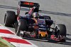Bild zum Inhalt: Toro Rosso: Franz Tost erwartet WM-Punkte bei allen Rennen