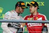 Bild zum Inhalt: Horner: Vettel und Hamilton werden nie Teamkollegen sein