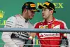 Bild zum Inhalt: Horner: Vettel und Hamilton werden nie Teamkollegen sein